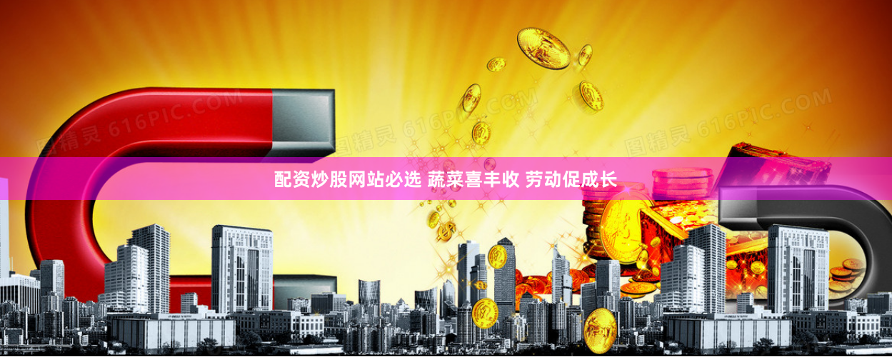 配资炒股网站必选 蔬菜喜丰收 劳动促成长